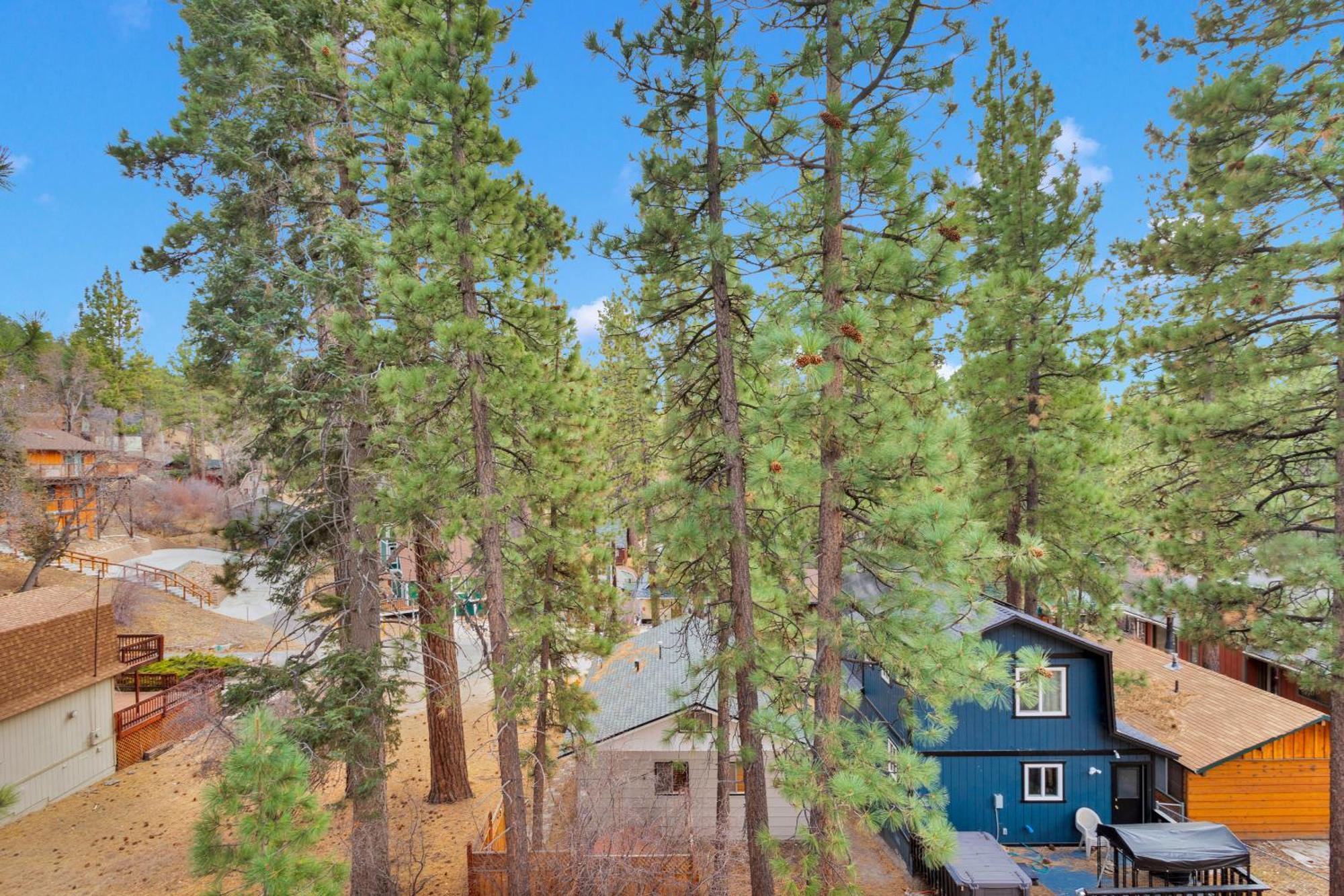 Cozy Crescent Tree Cabin Near Bear Mountain Big Bear Lake Exteriör bild